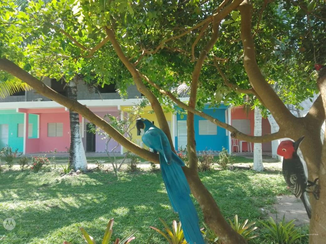 Pousada Praia De Tairu Armacao do Tairu 外观 照片